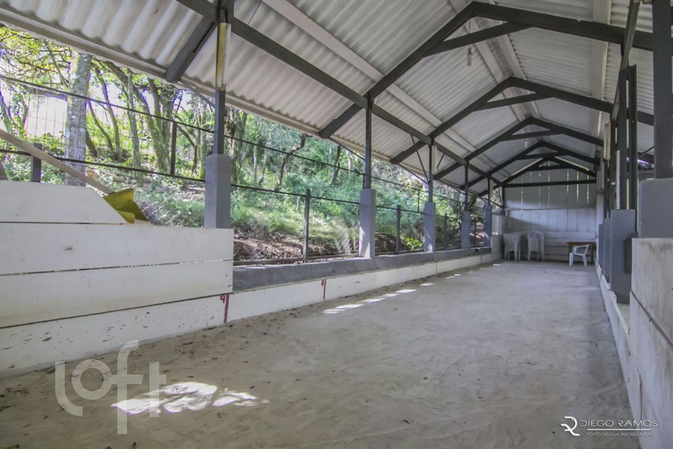 Imagem da propriedade 31