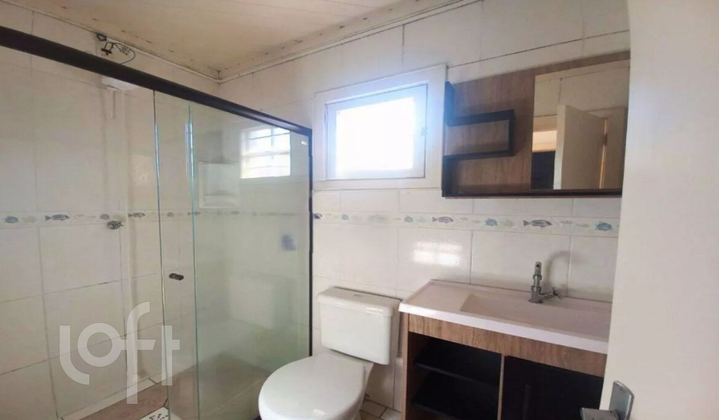 Imagem da propriedade 13