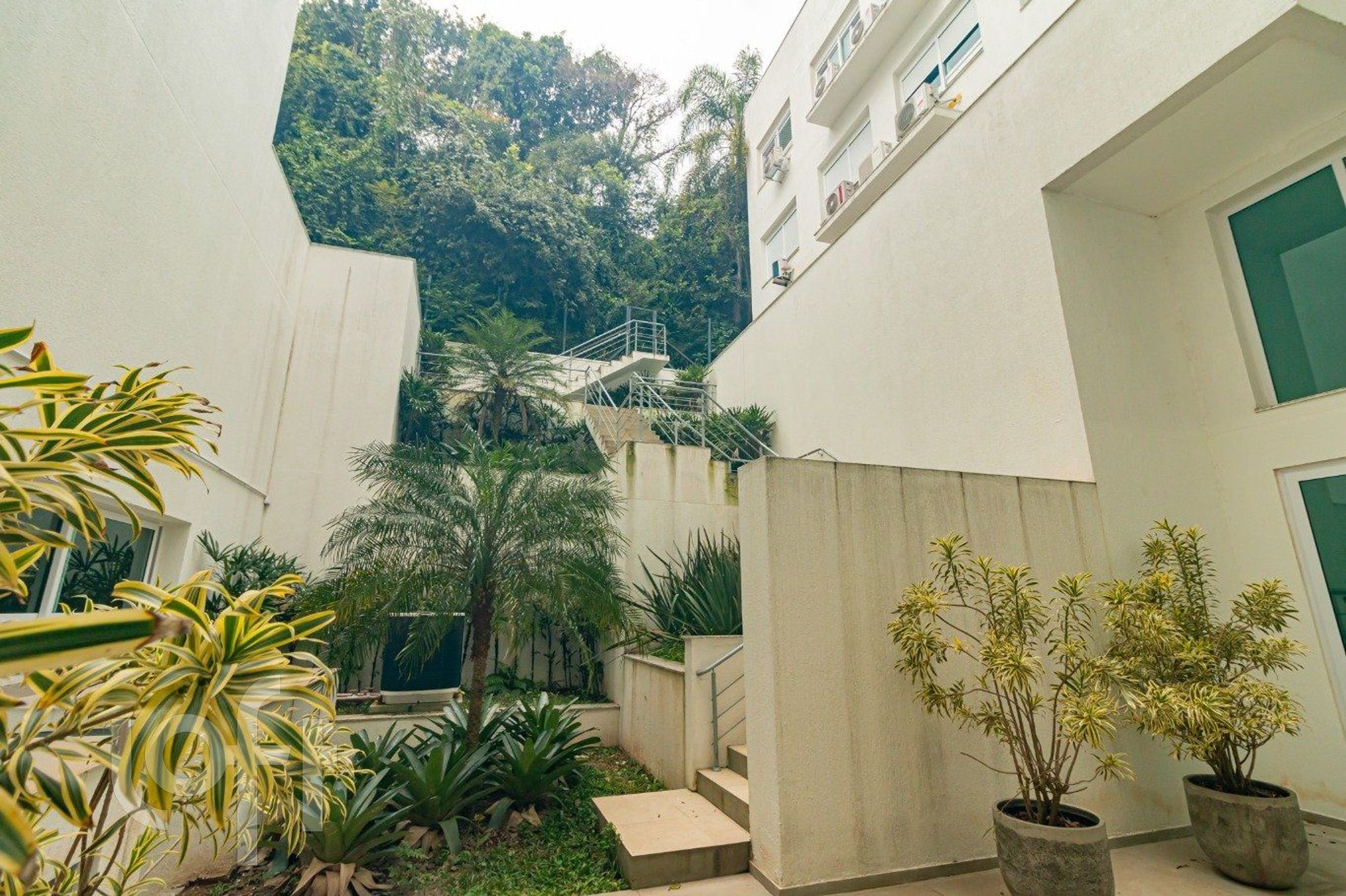 Imagem da propriedade 7