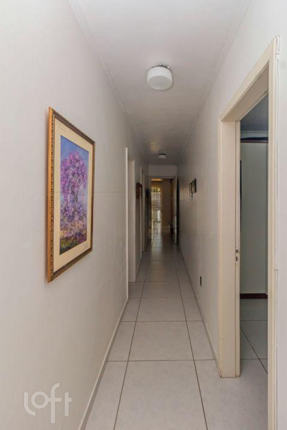 Imagem da propriedade 29