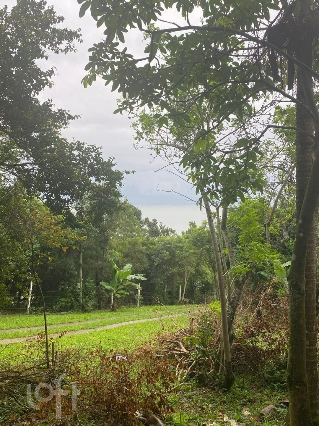 Imagem da propriedade 2
