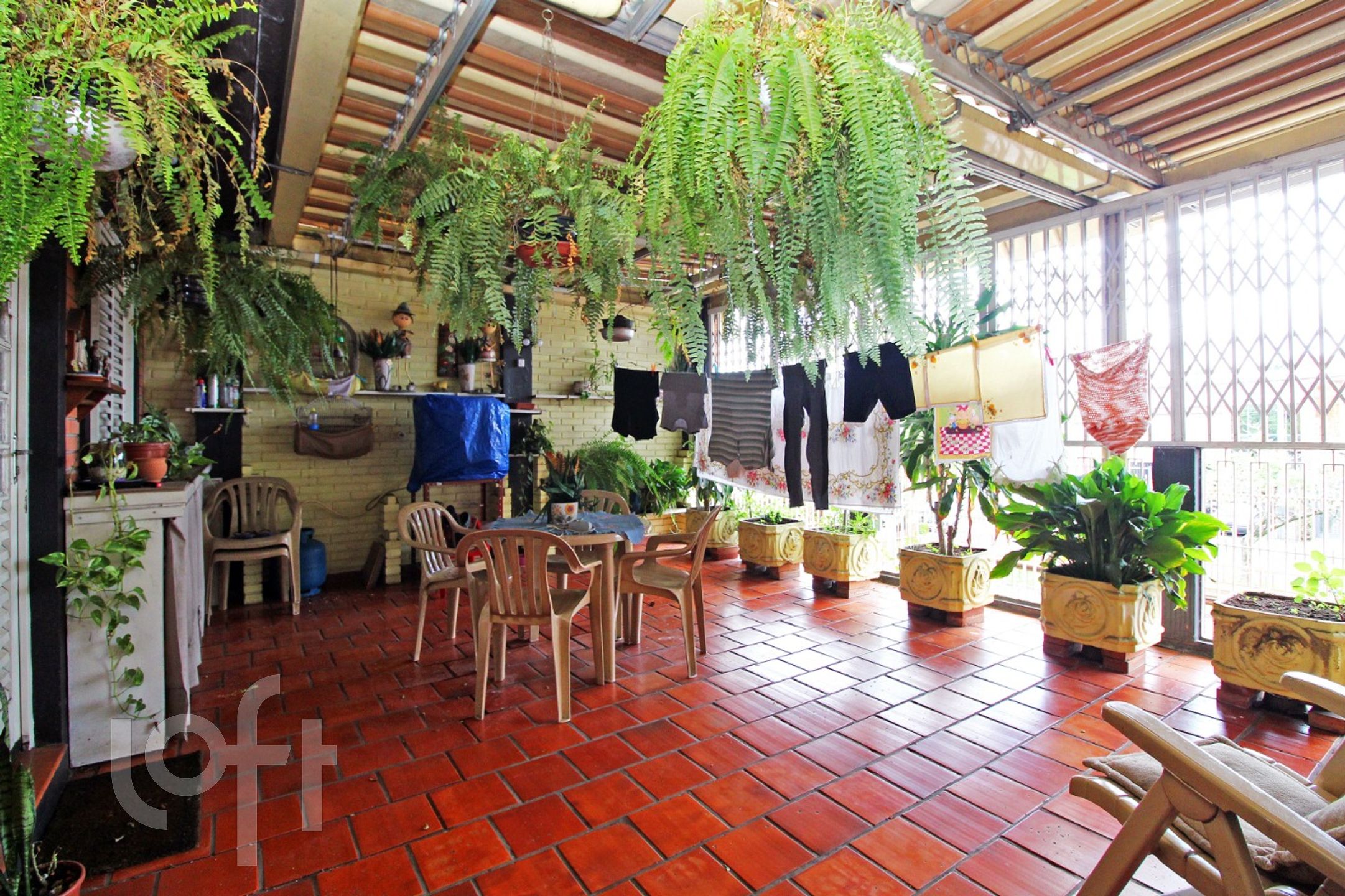 Imagem da propriedade 3