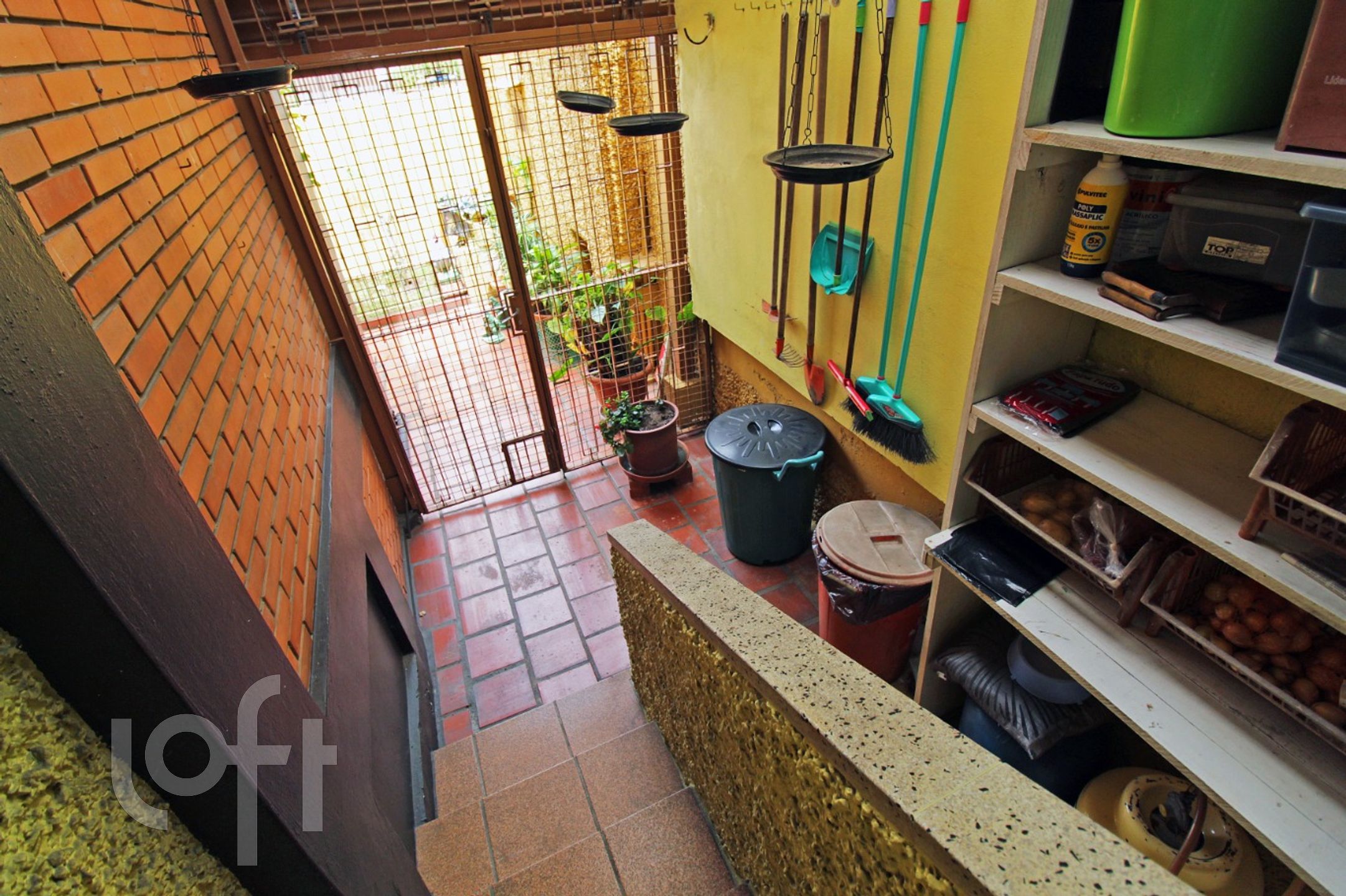 Imagem da propriedade 28