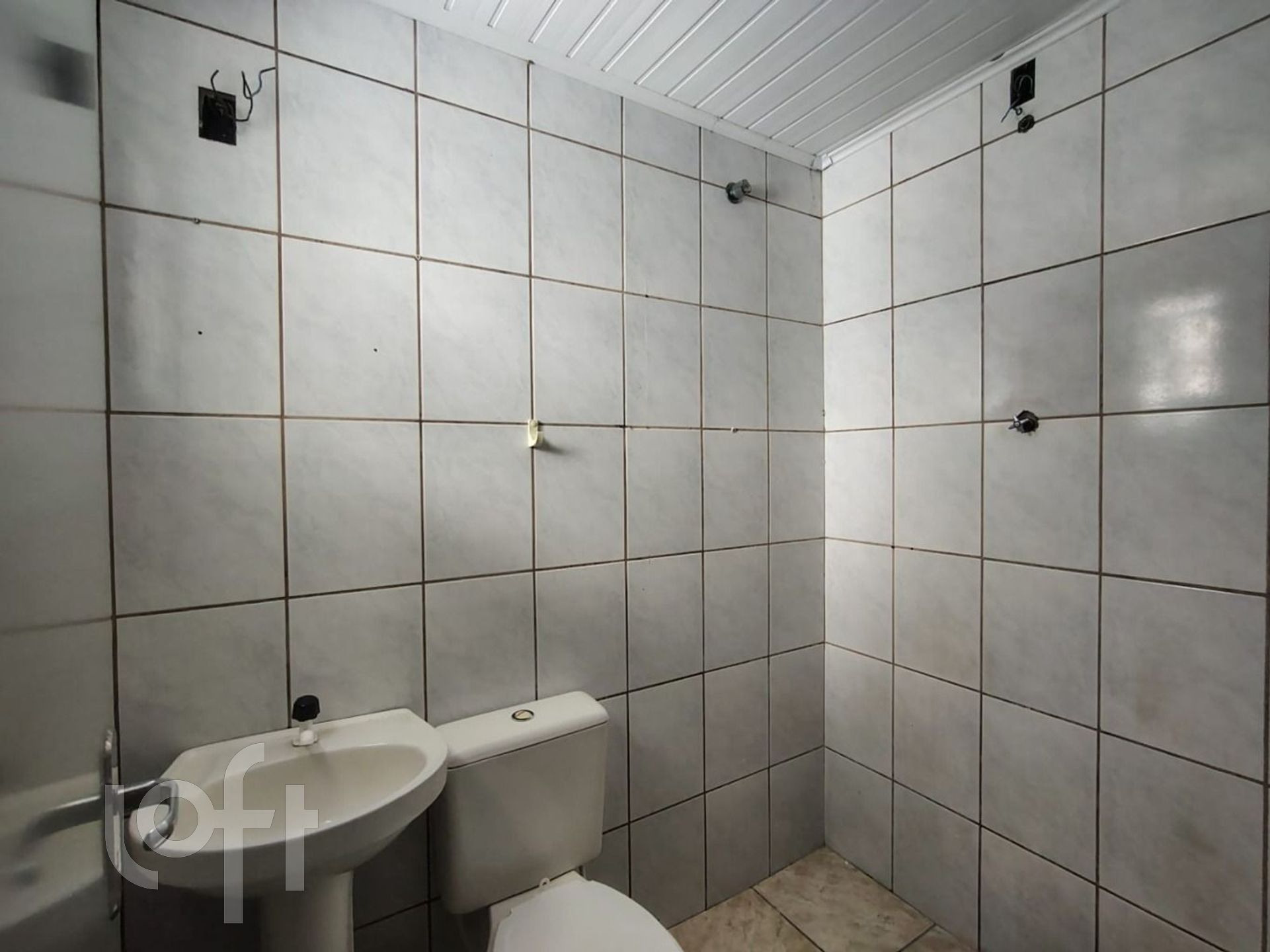 Imagem da propriedade 21