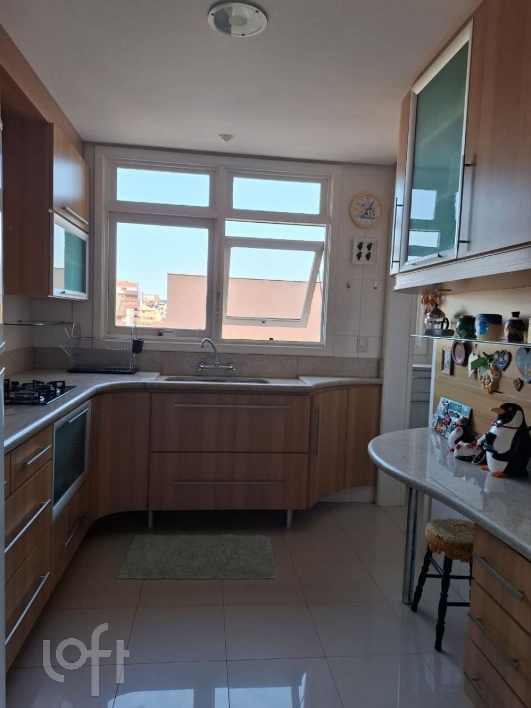 Imagem da propriedade 11