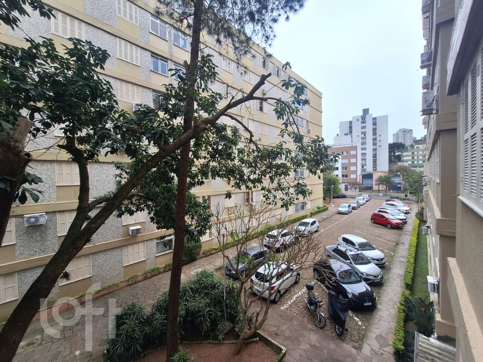 Imagem da propriedade 9