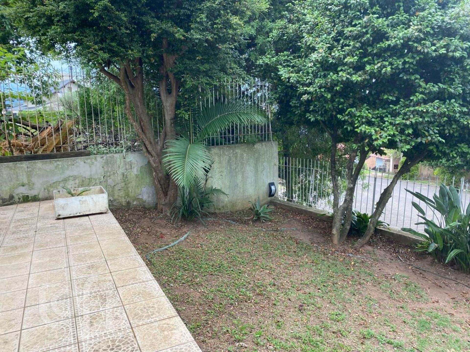 Imagem da propriedade 29