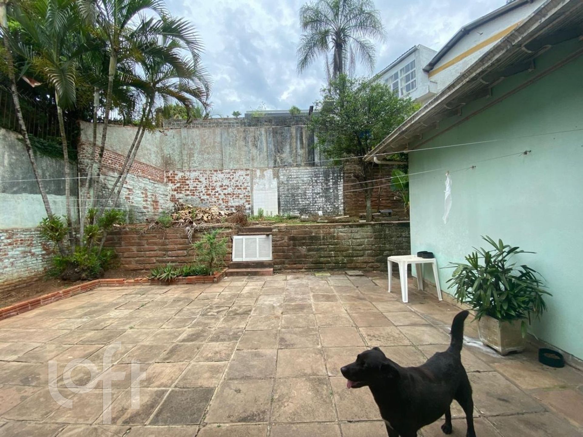 Imagem da propriedade 22