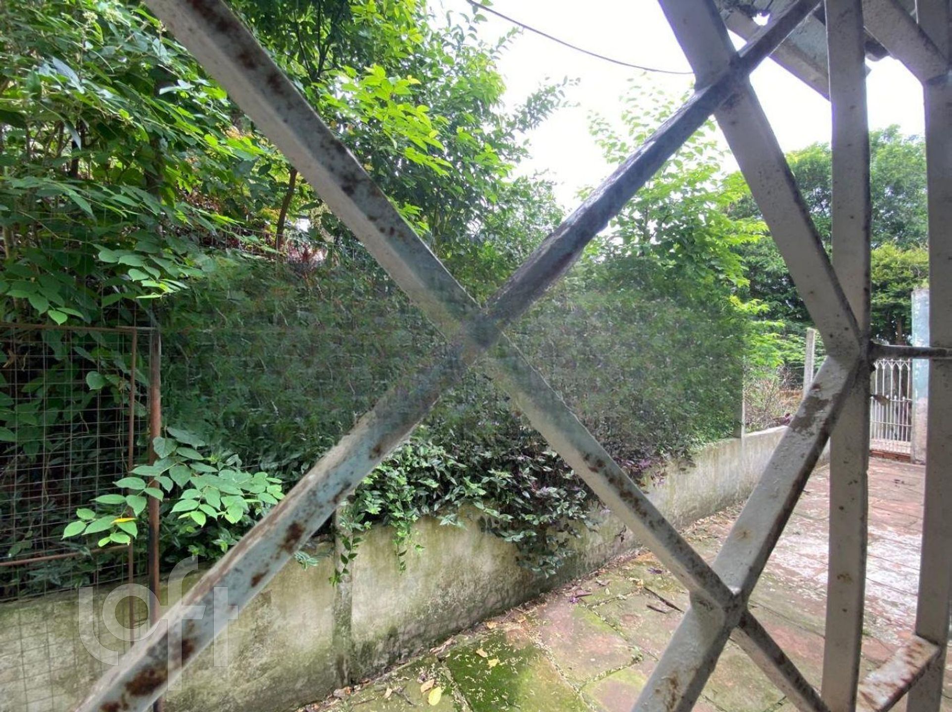 Imagem da propriedade 32