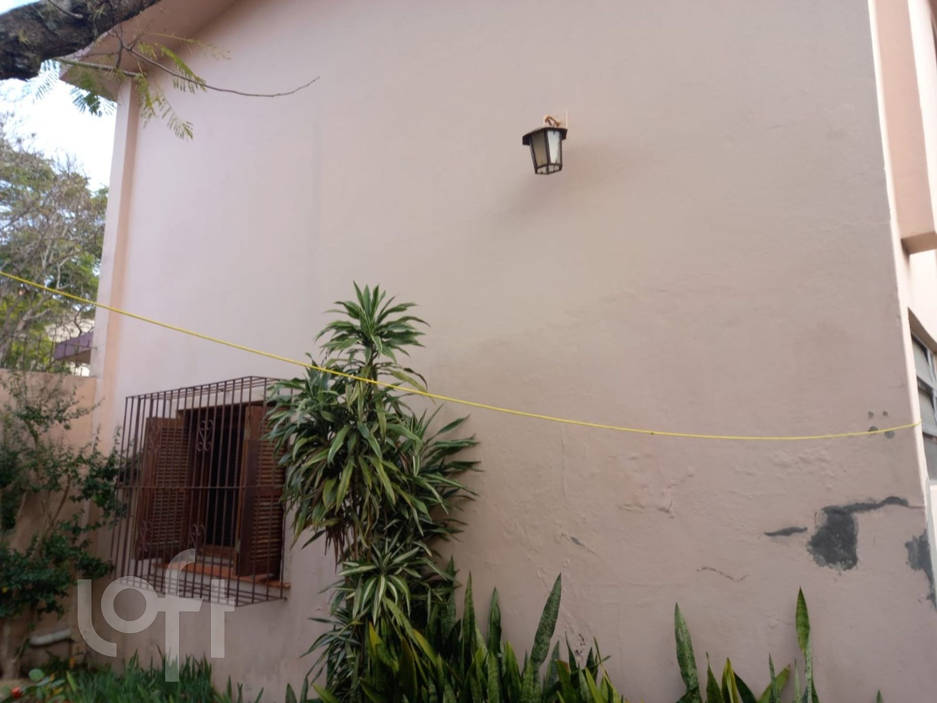 Imagem da propriedade 8