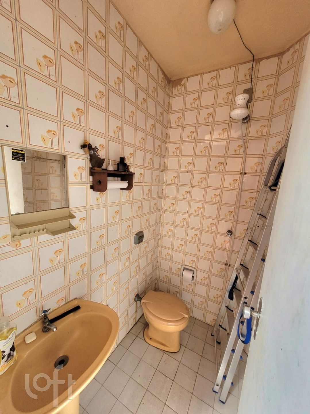 Imagem da propriedade 13