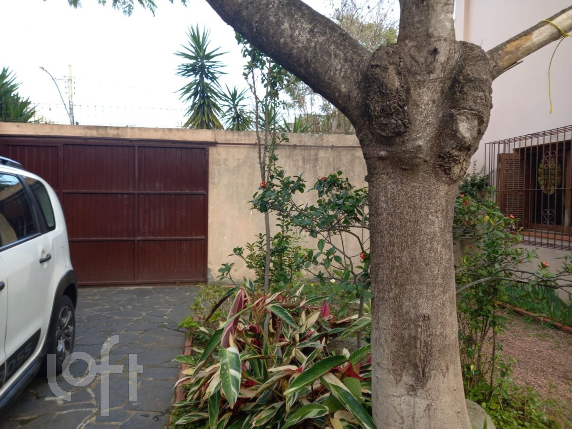 Imagem da propriedade 5