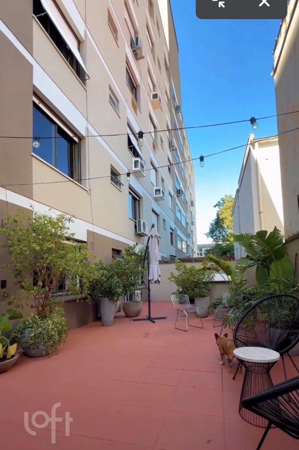 Imagem da propriedade 5