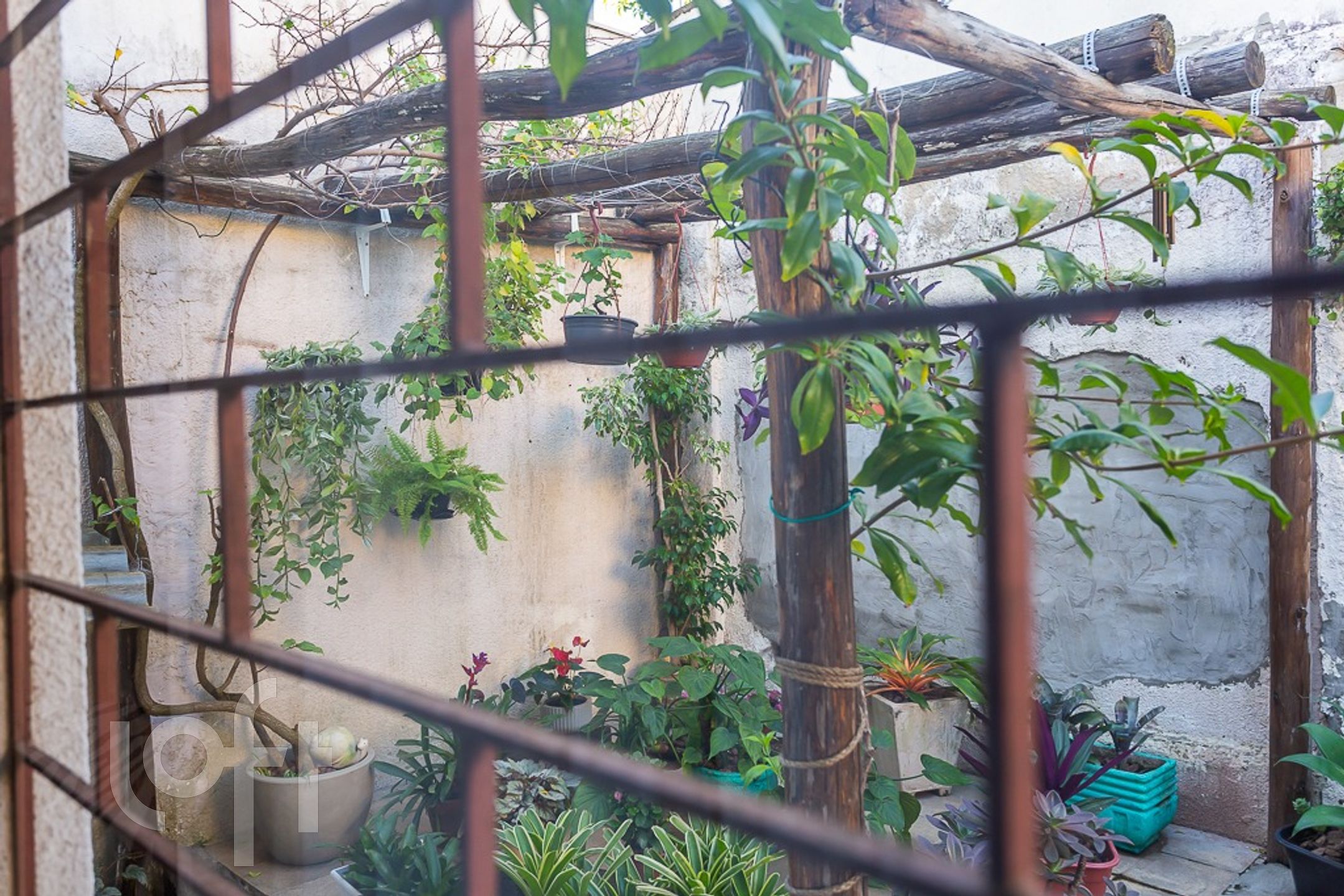 Imagem da propriedade 22