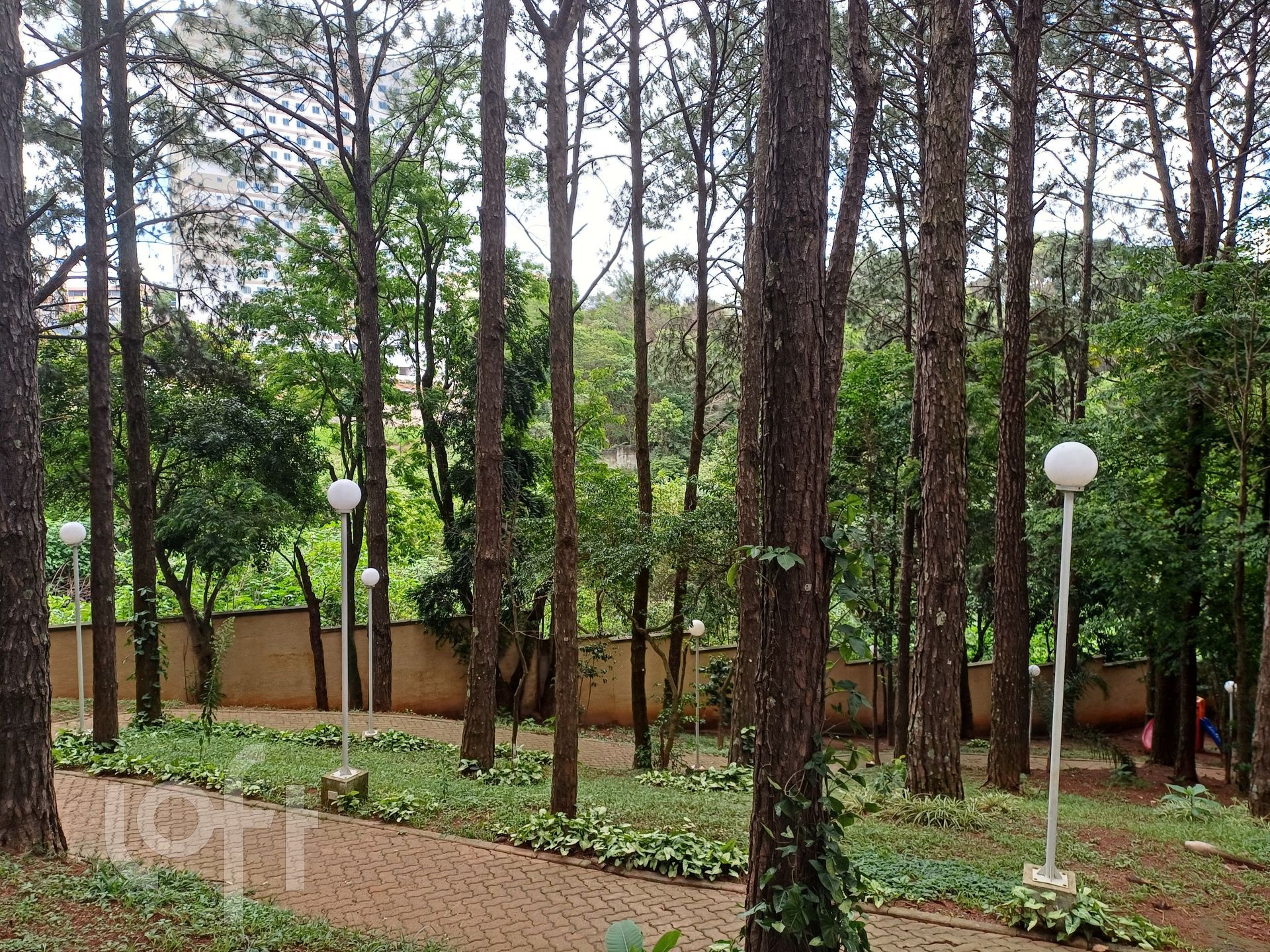 Imagem da propriedade 13