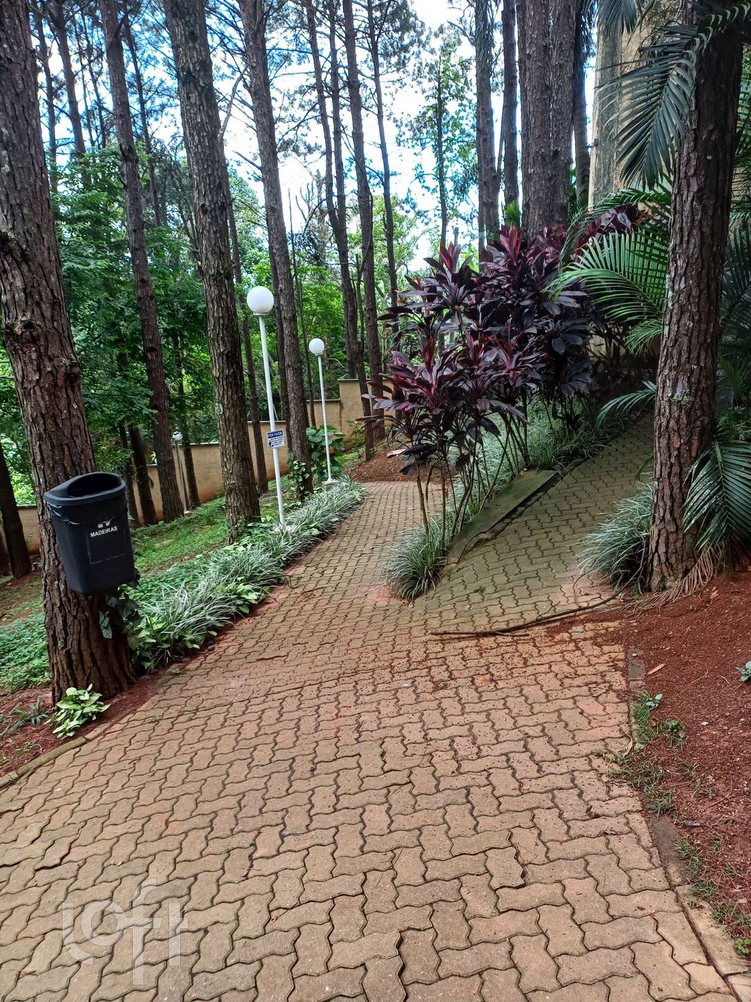 Imagem da propriedade 14
