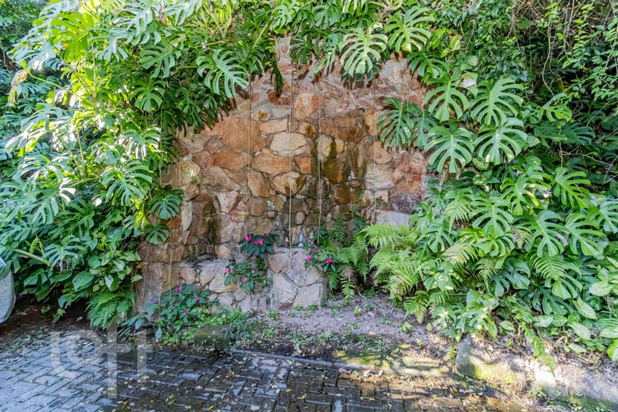 Imagem da propriedade 13