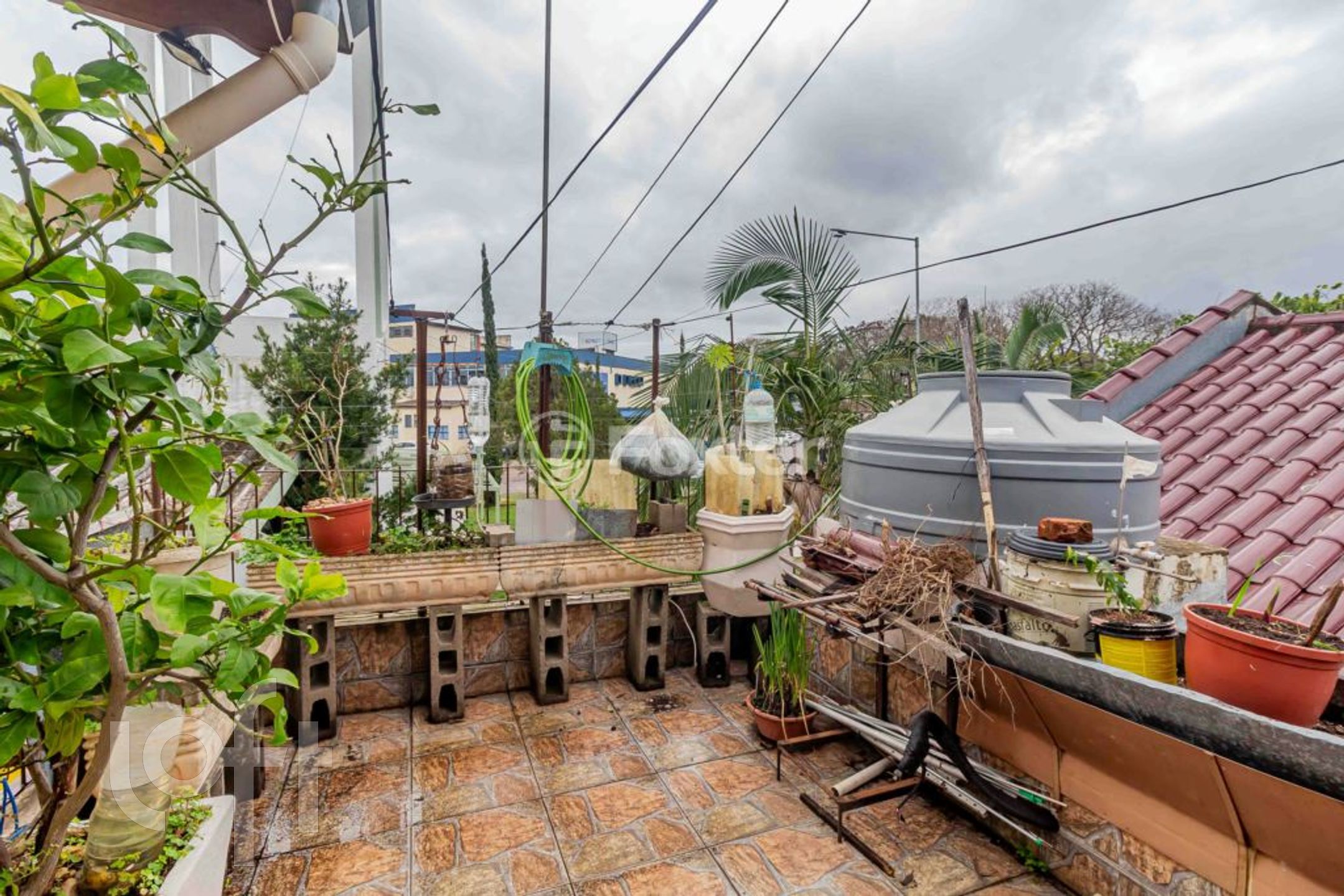 Imagem da propriedade 31