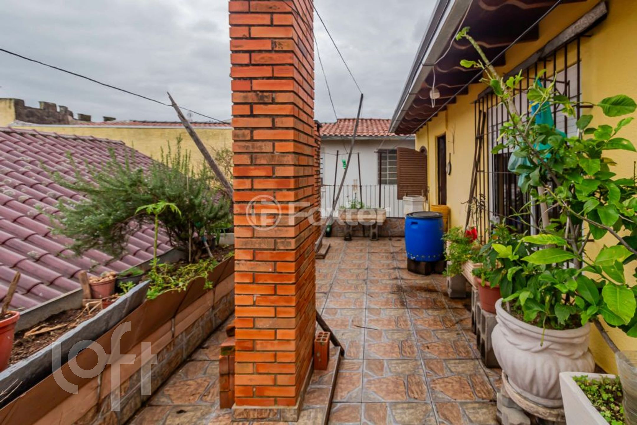 Imagem da propriedade 33