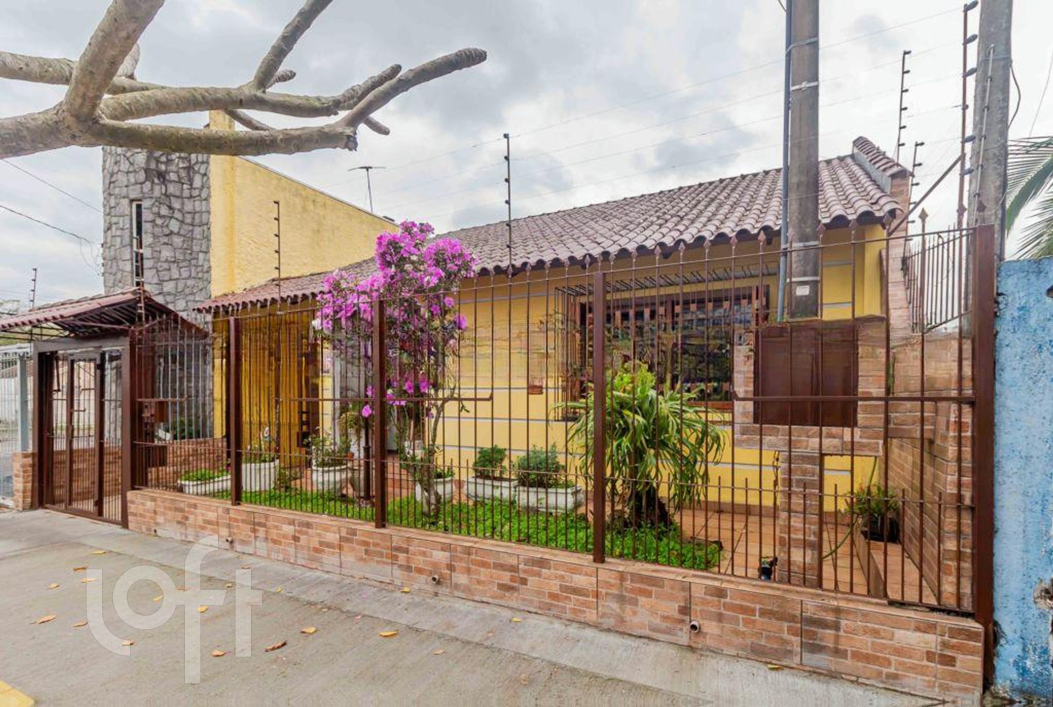 Imagem da propriedade 58