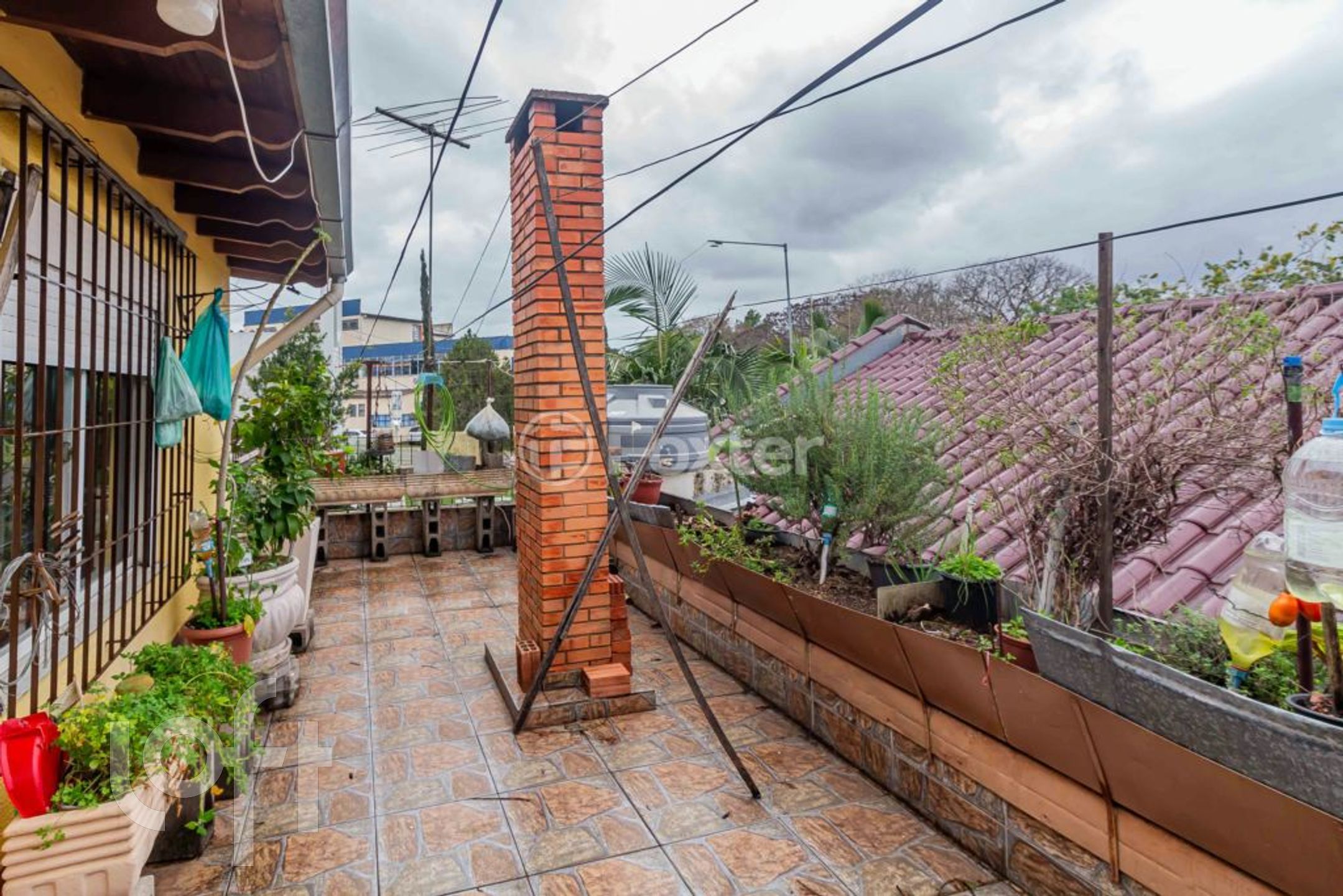 Imagem da propriedade 27