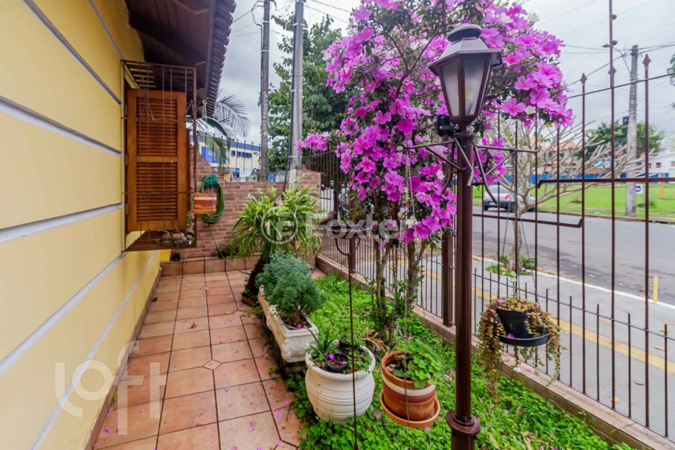 Imagem da propriedade 56