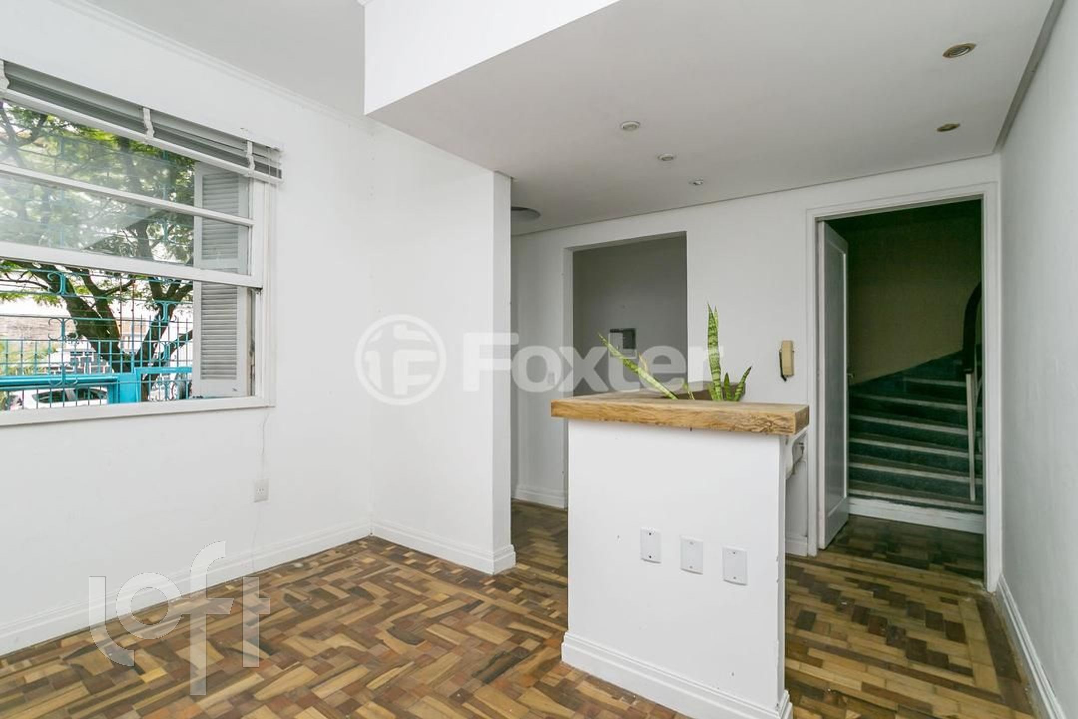 Imagem da propriedade 10