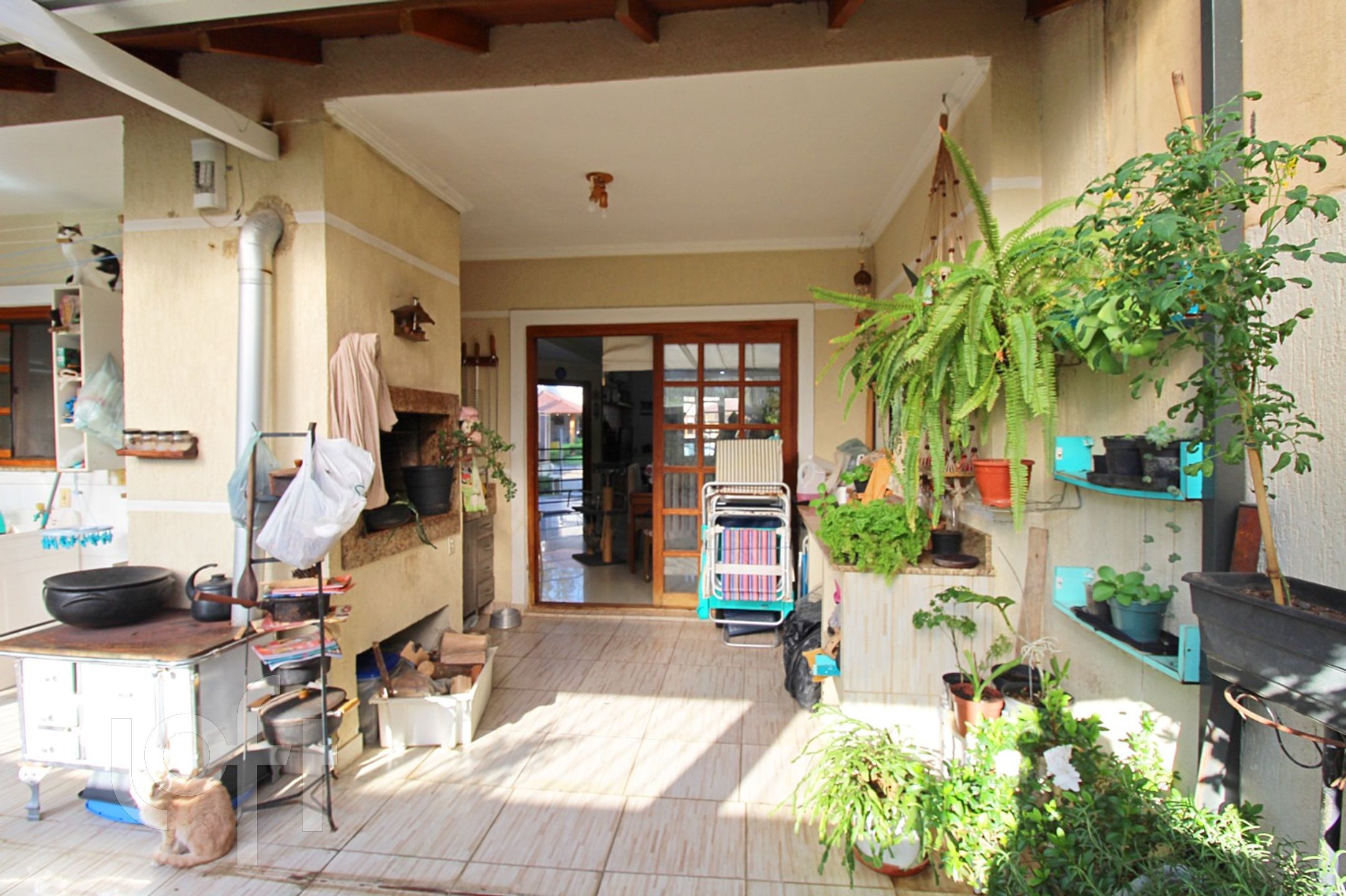 Imagem da propriedade 30