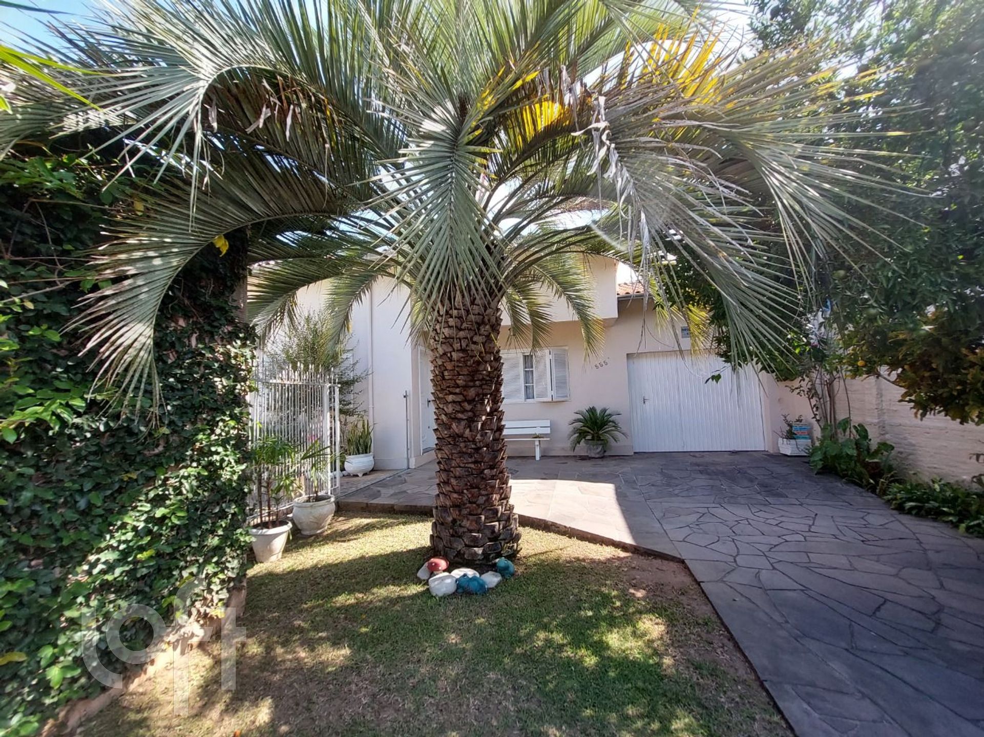 Imagem da propriedade 10