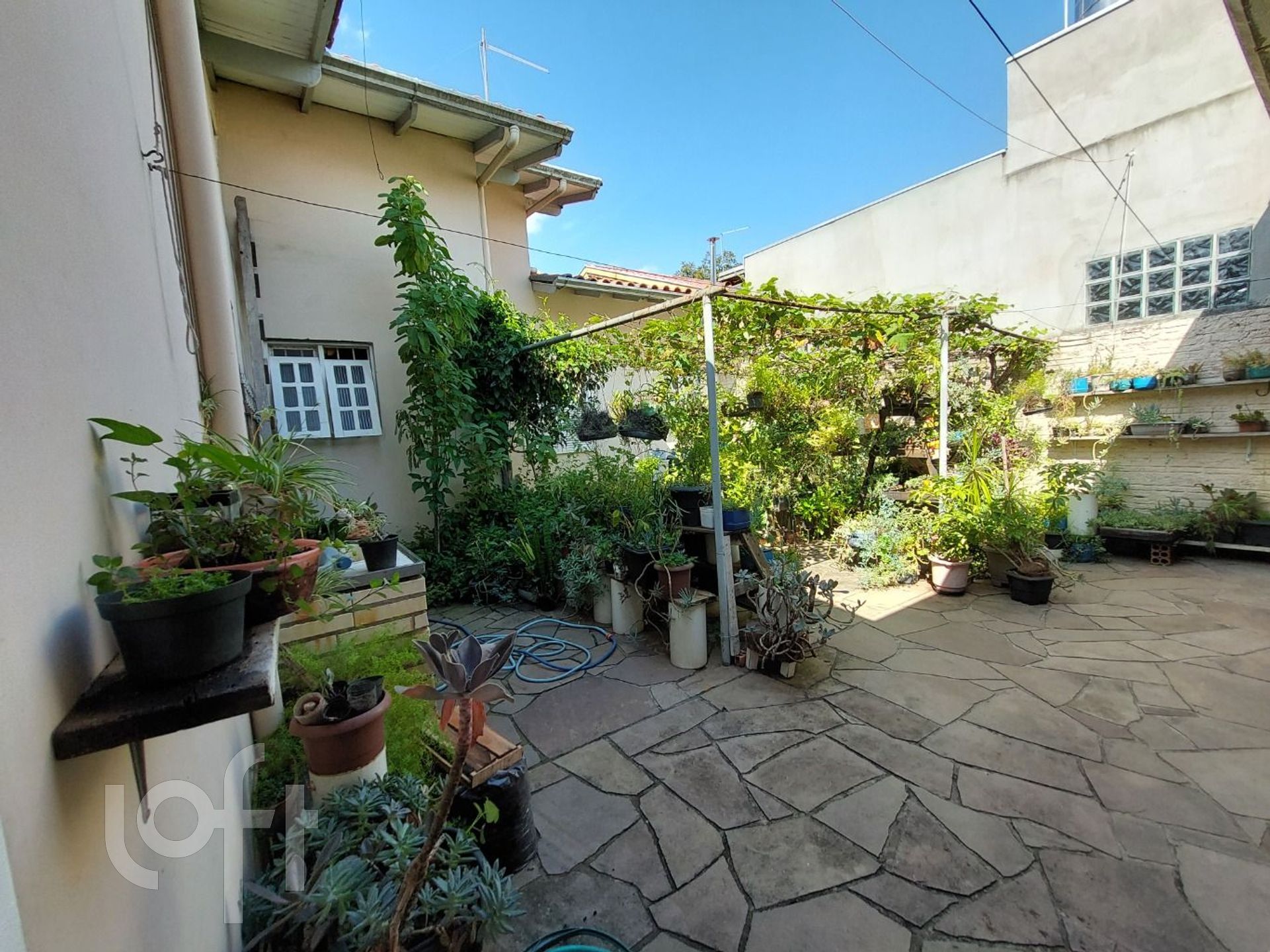 Imagem da propriedade 41