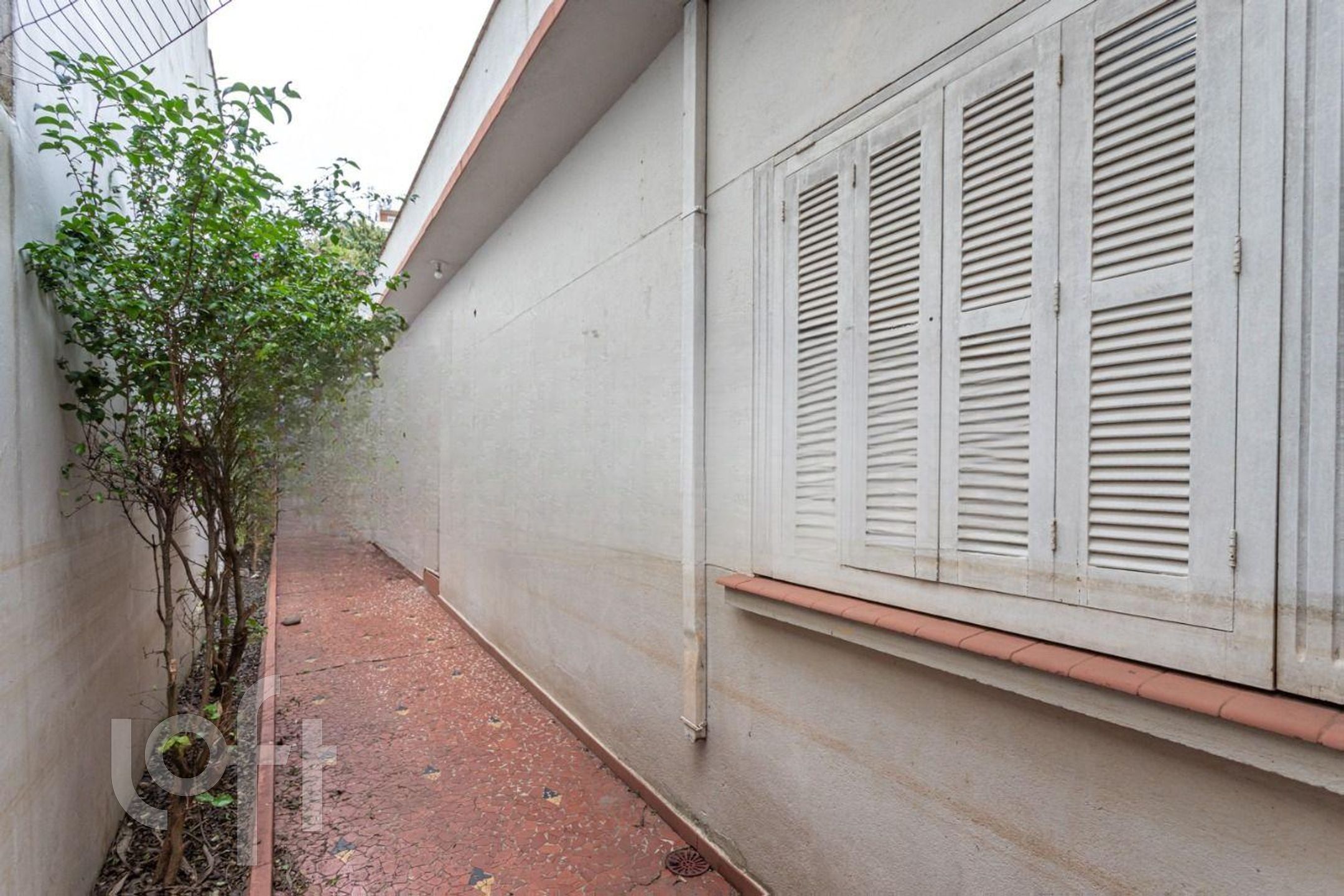 Imagem da propriedade 6