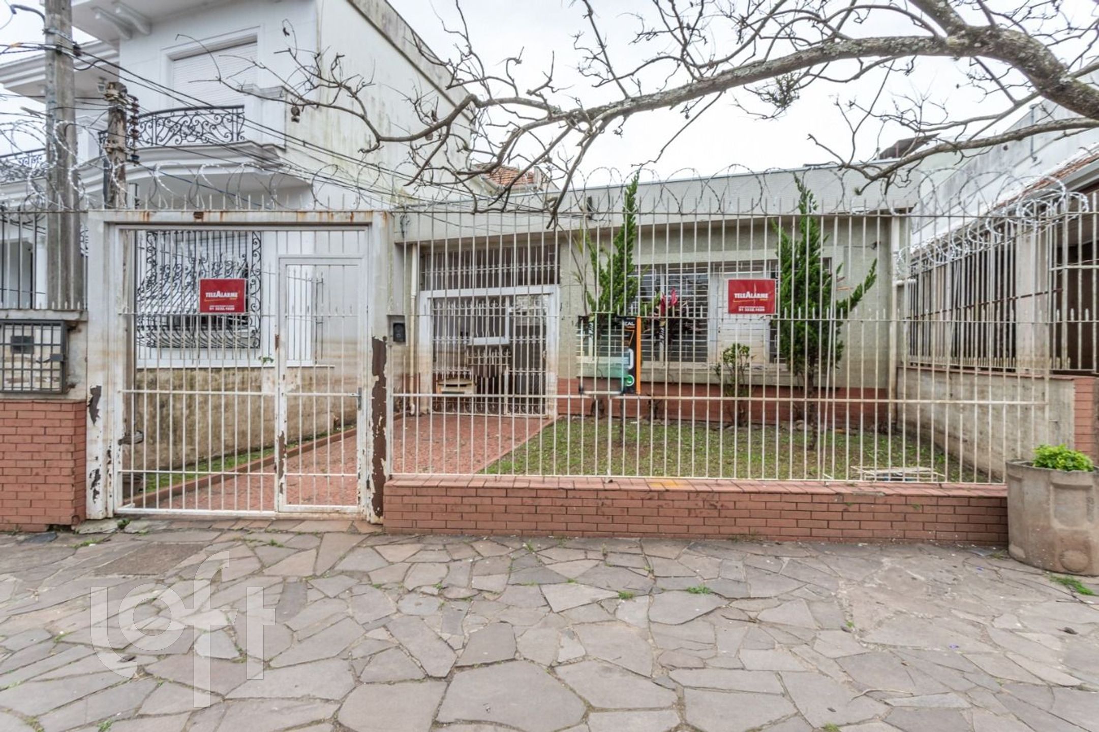 Imagem da propriedade 4