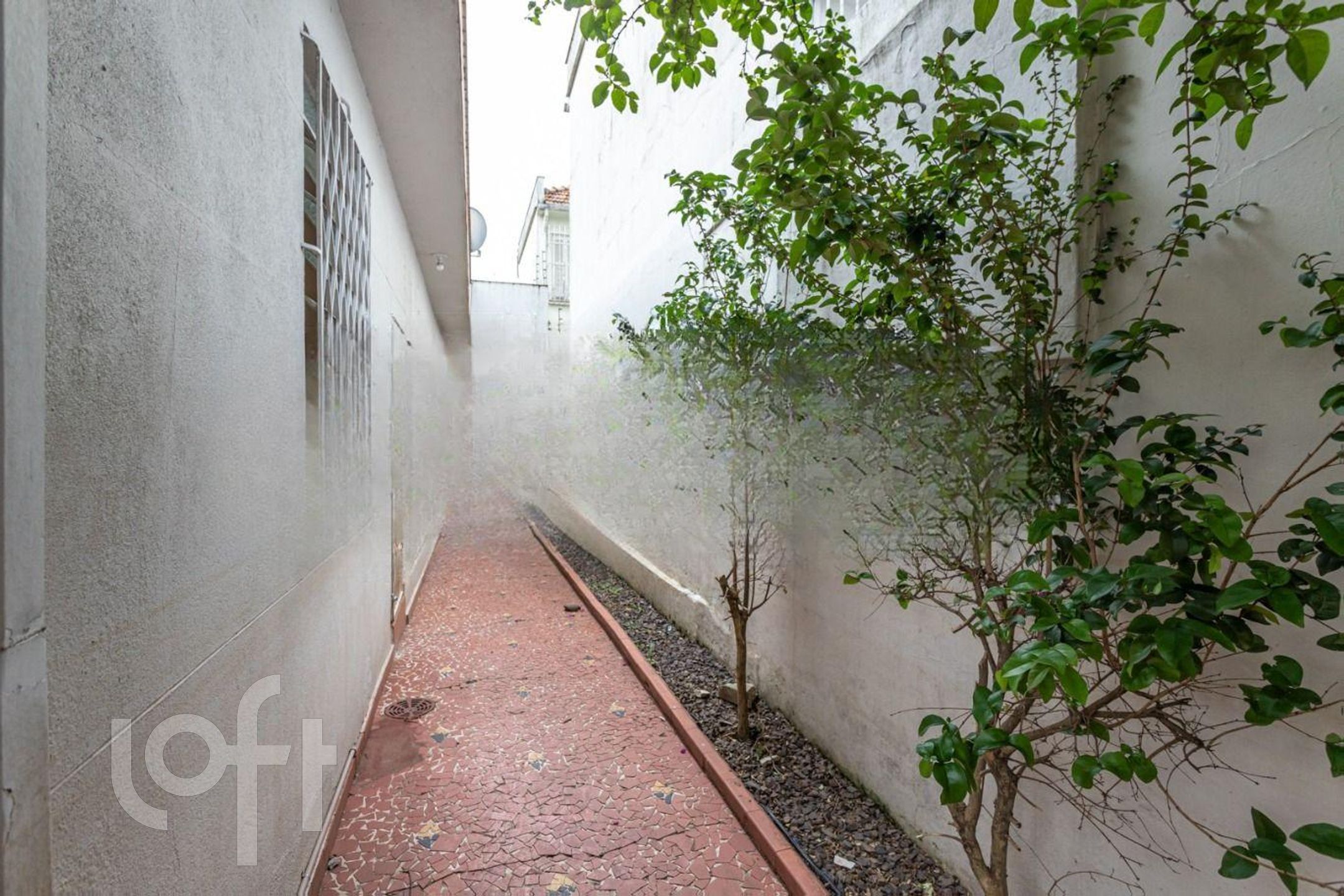 Imagem da propriedade 7