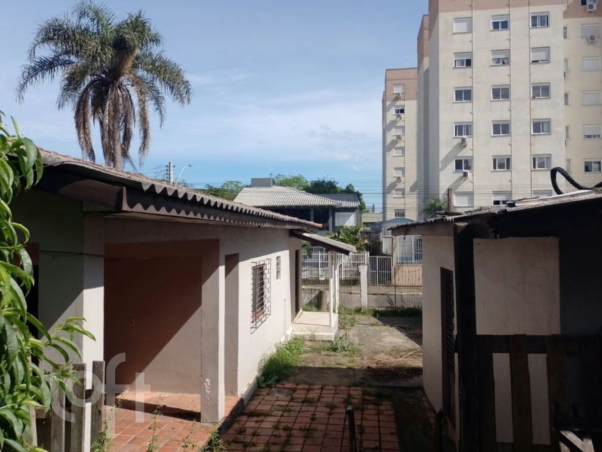 Imagem da propriedade 3