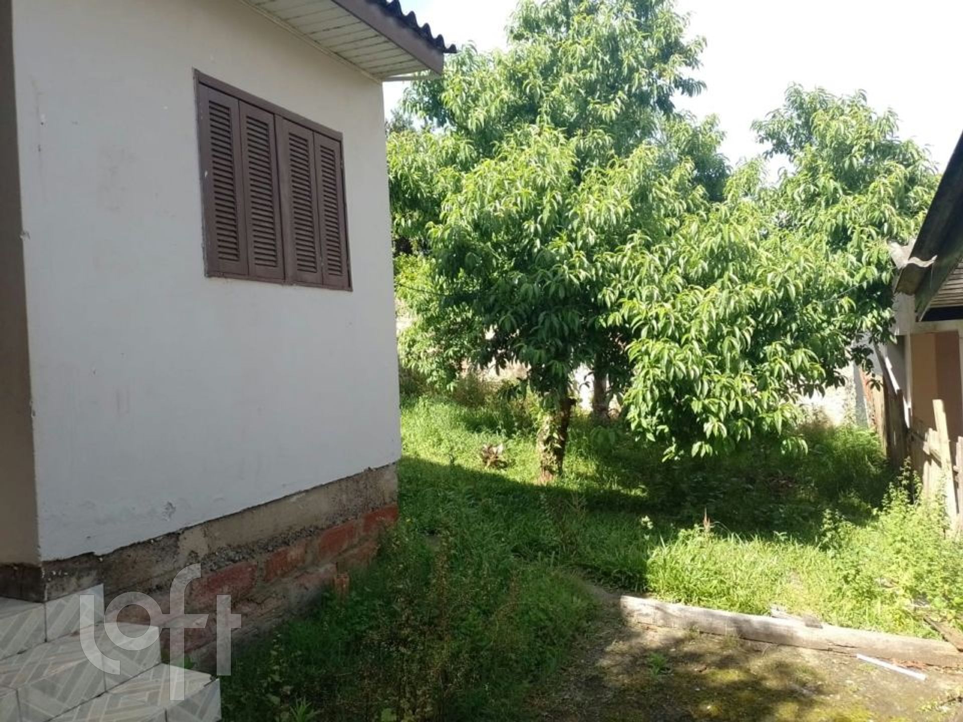 Imagem da propriedade 2