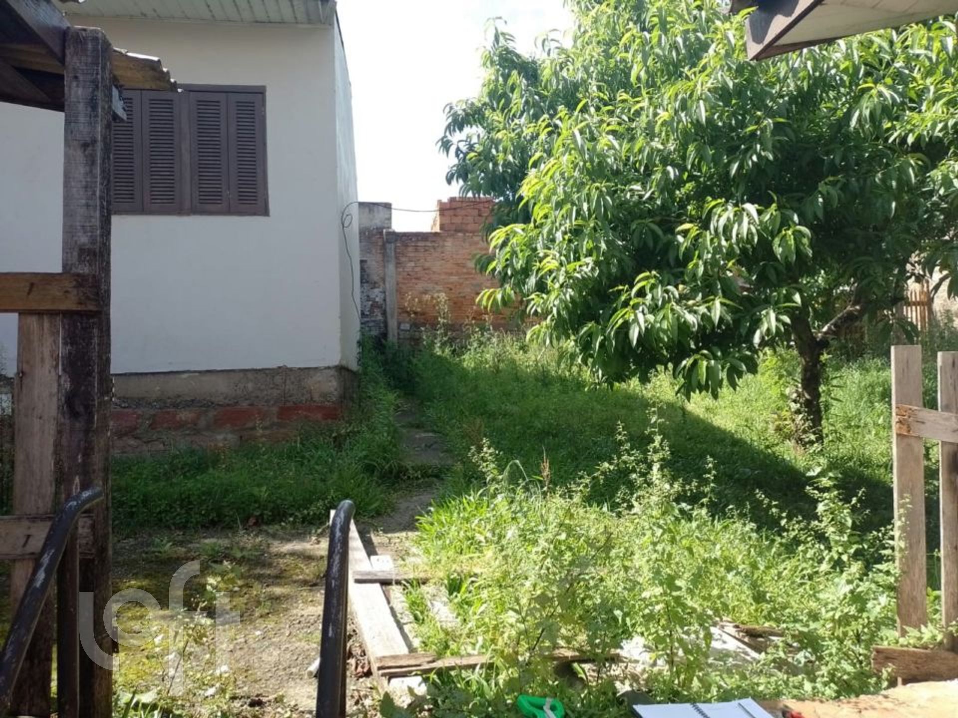 Imagem da propriedade 4