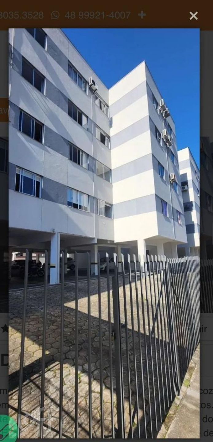 Imagem da propriedade 12