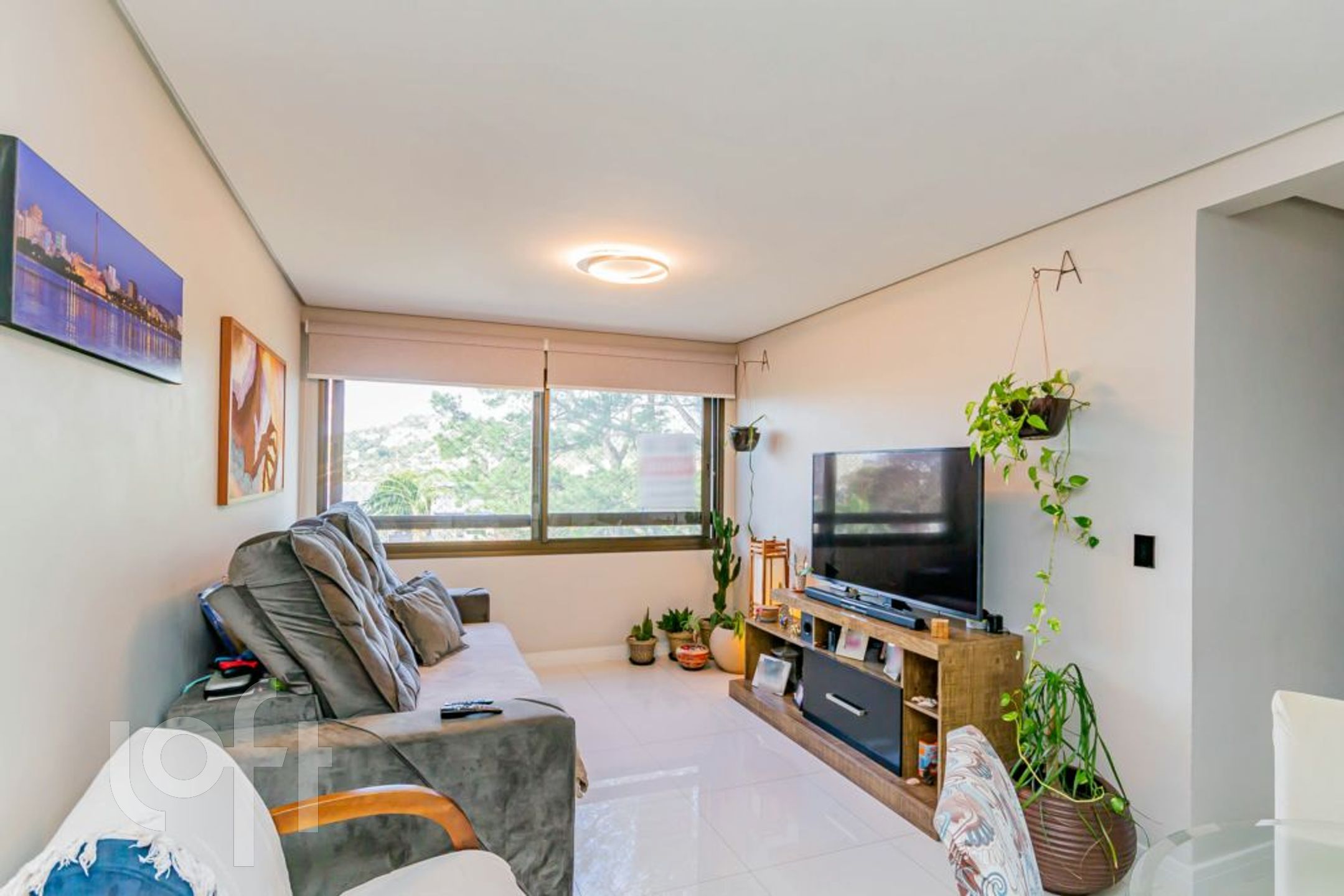 Imagem da propriedade 2