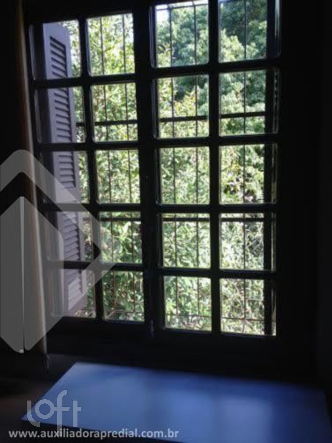 Imagem da propriedade 16