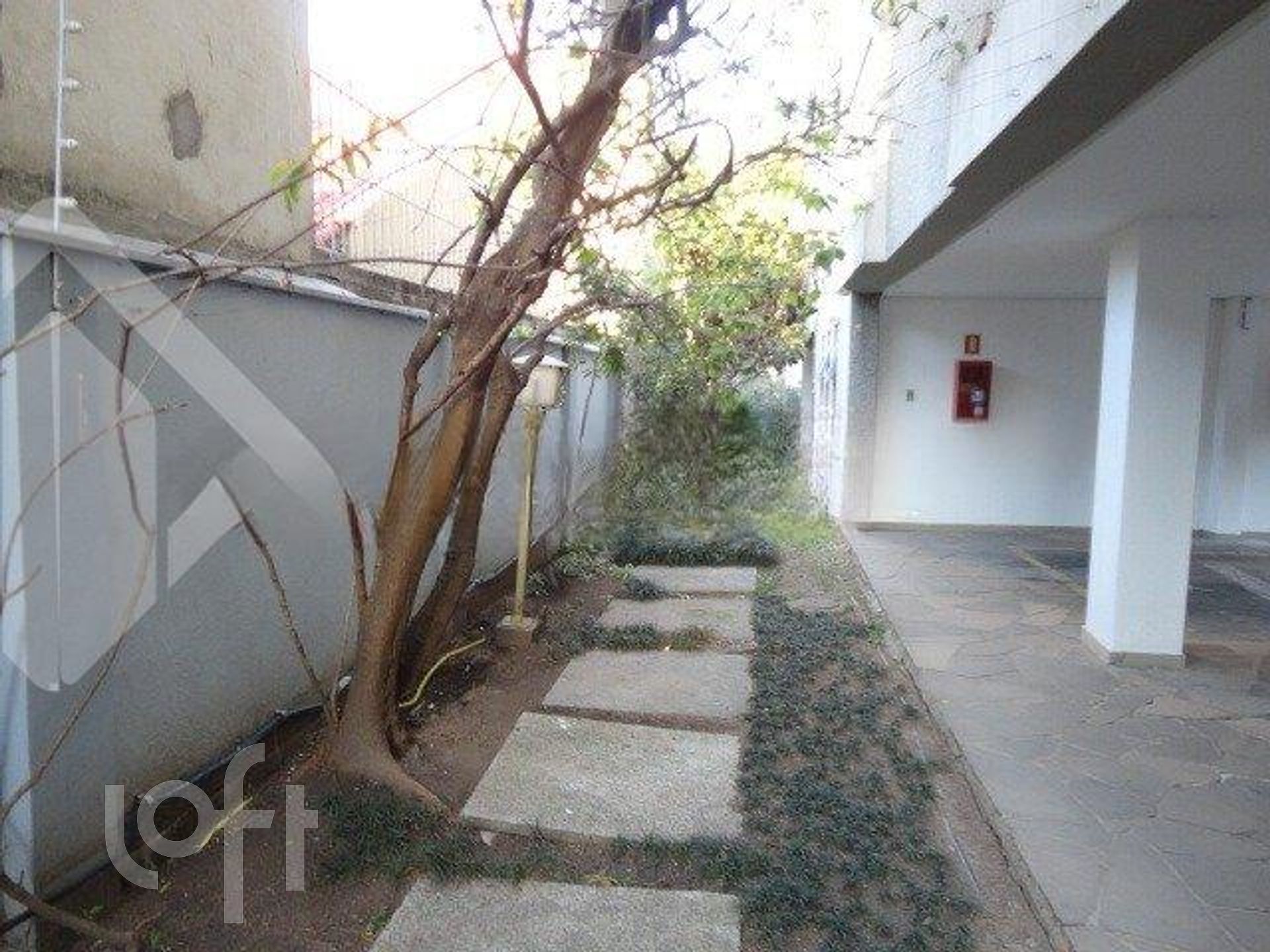 Imagem da propriedade 12