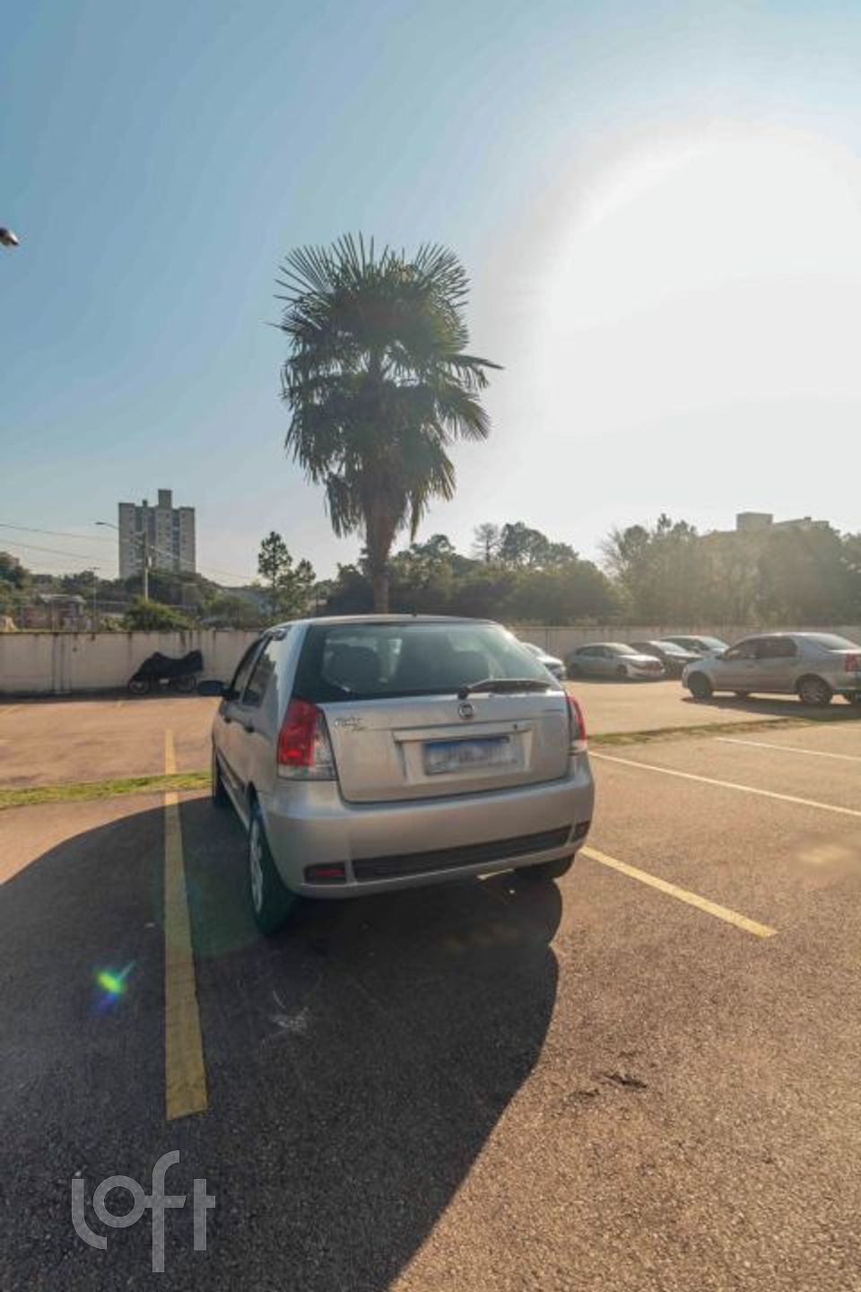 Imagem da propriedade 19