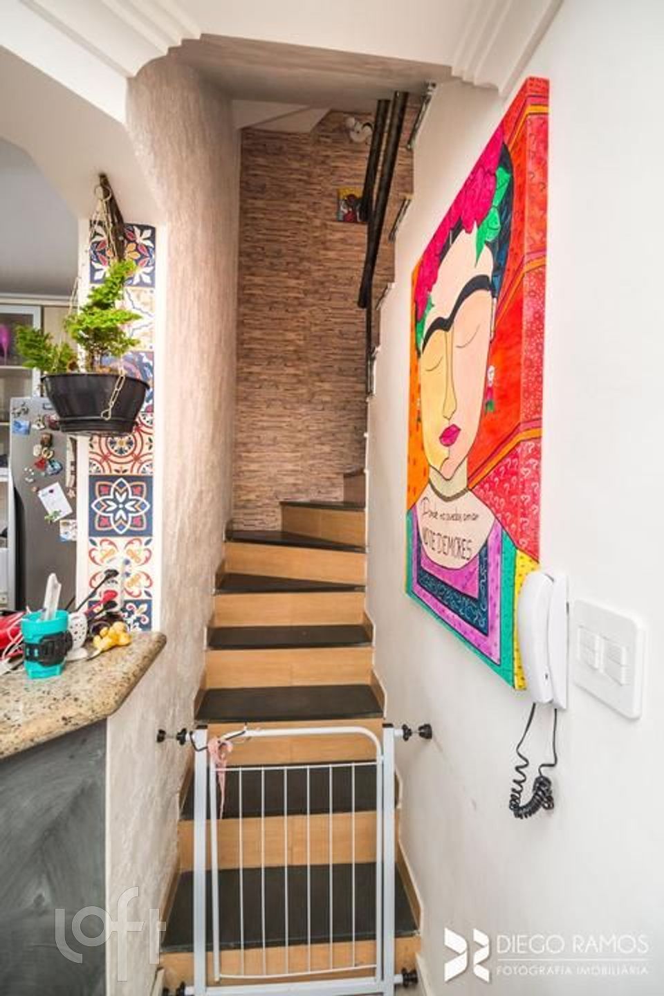 Imagem da propriedade 30