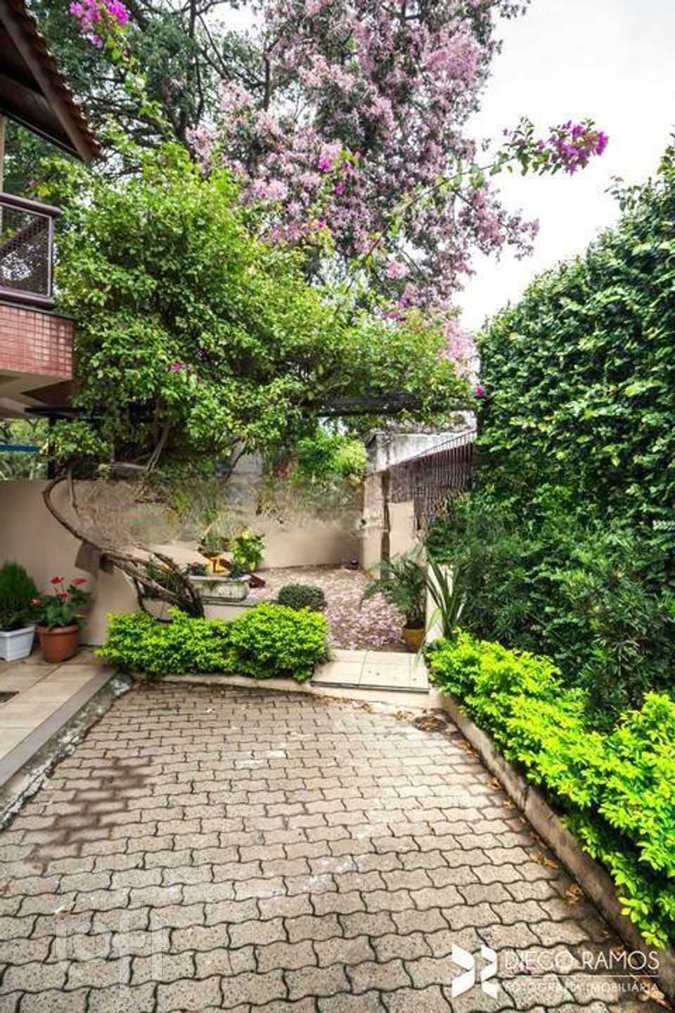 Imagem da propriedade 47