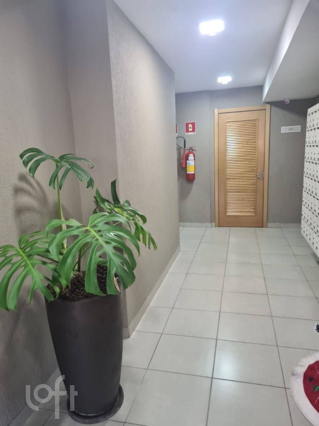 Imagem da propriedade 31