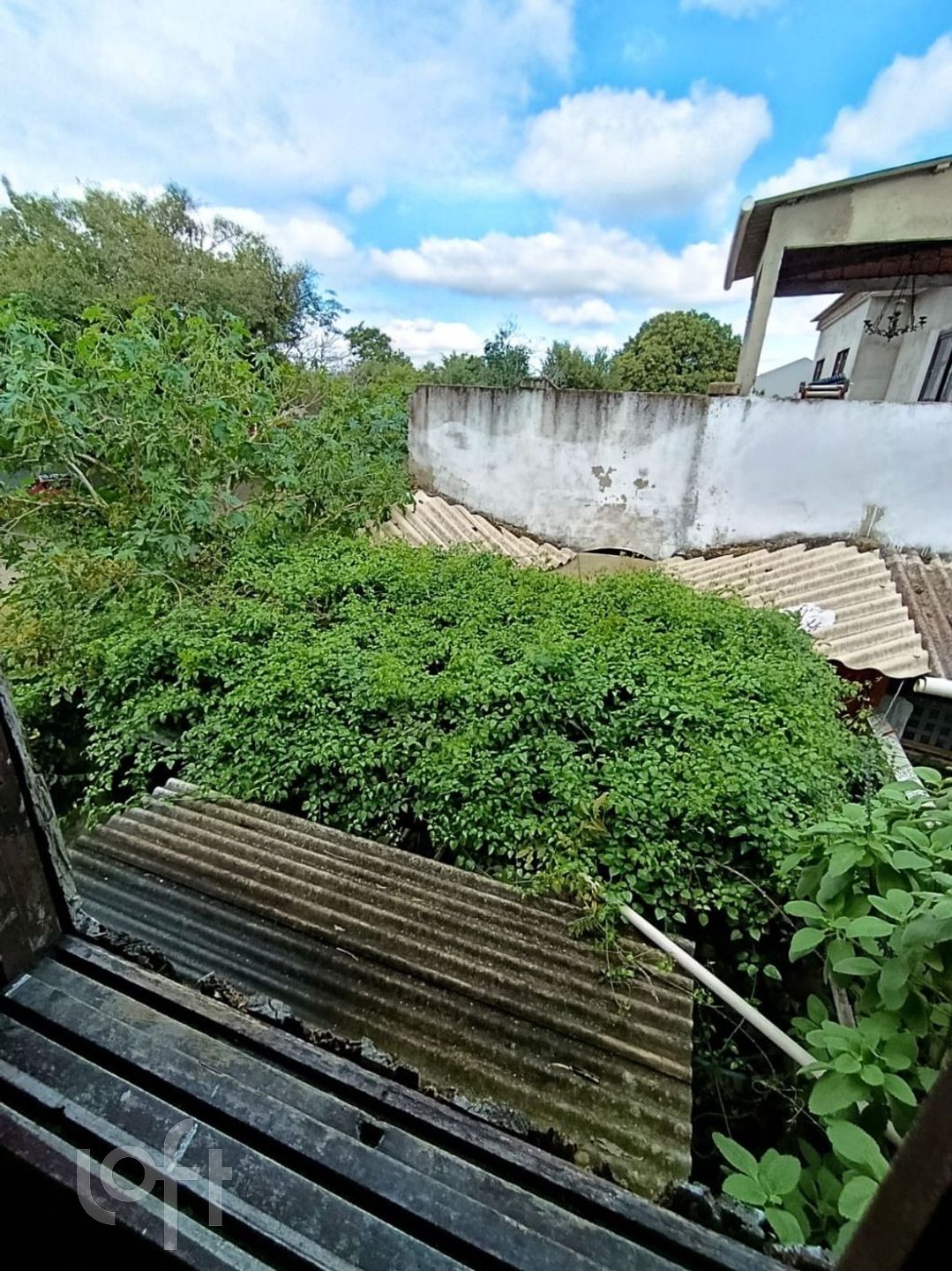 Imagem da propriedade 18