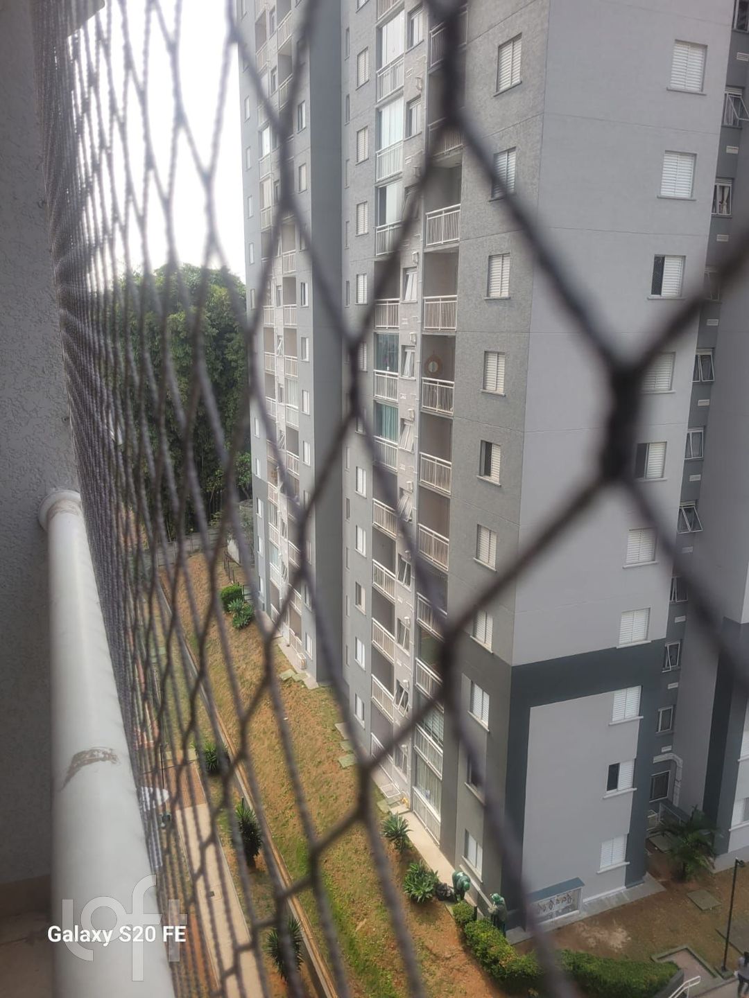 Imagem da propriedade 6
