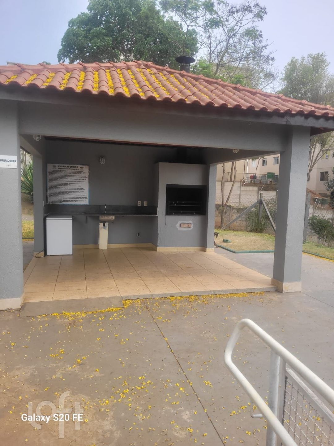 Imagem da propriedade 29