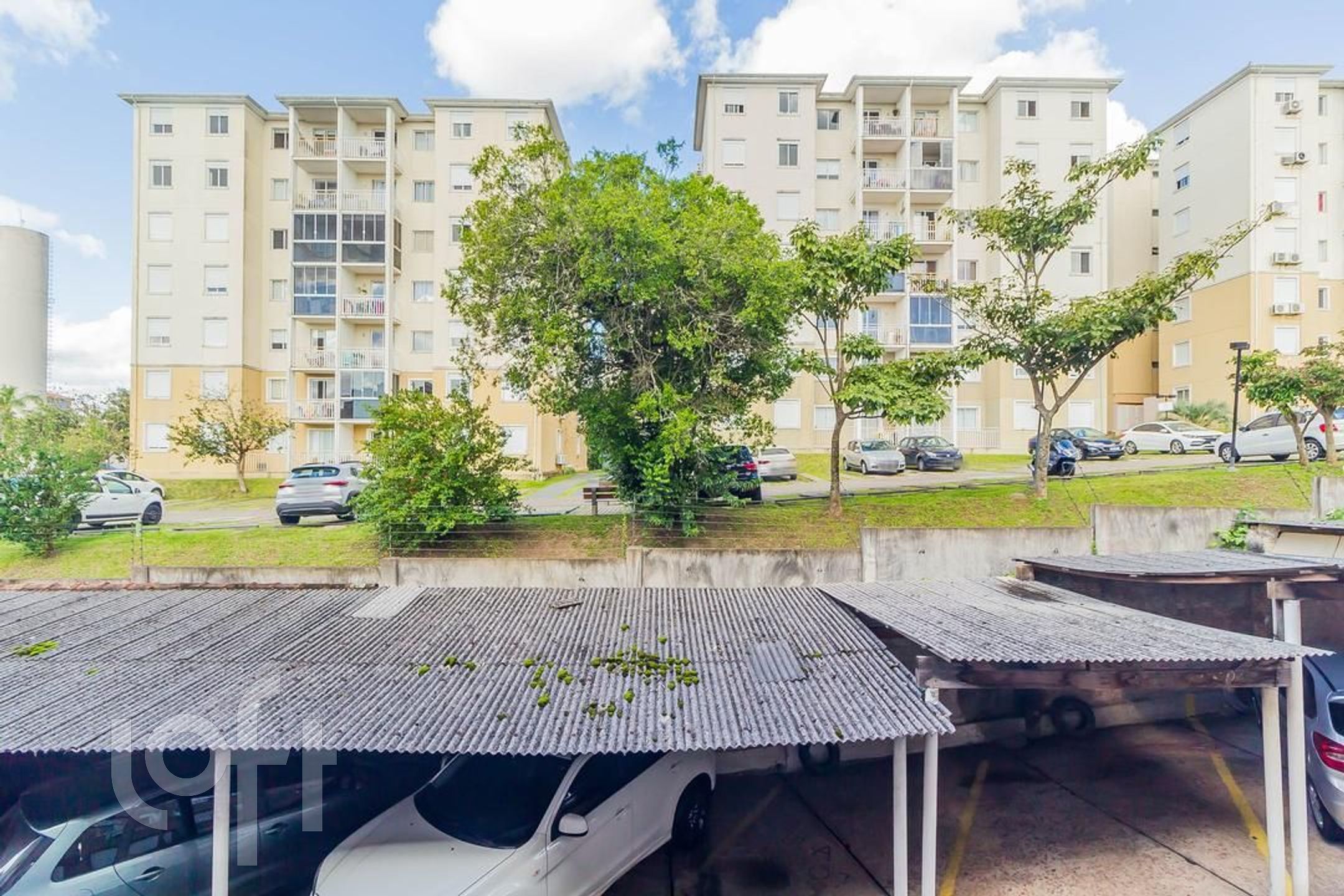 Imagem da propriedade 5