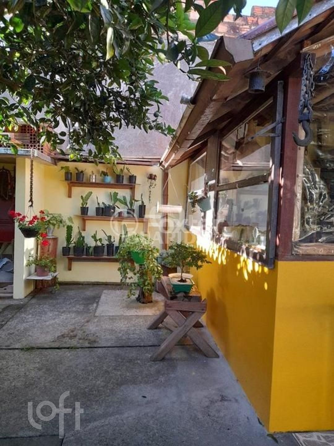 Imagem da propriedade 7