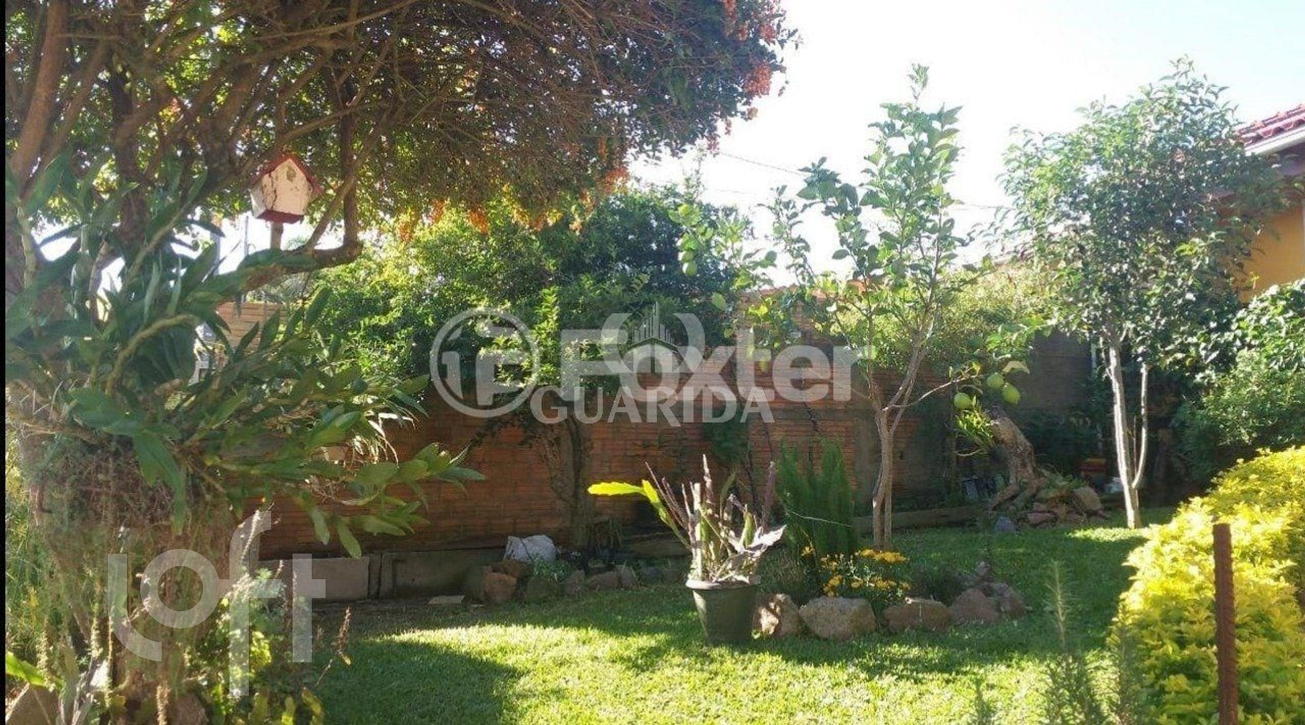 Imagem da propriedade 15